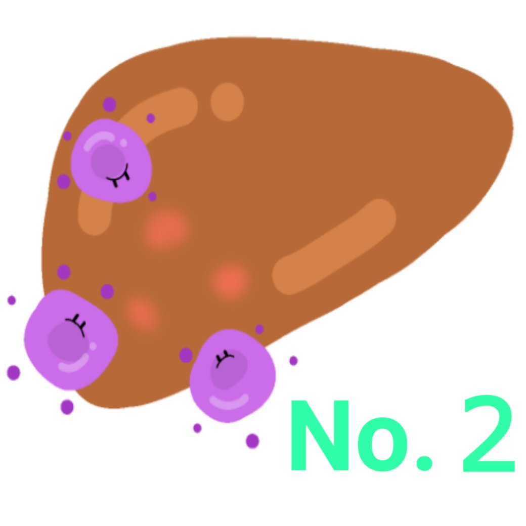 ウィルス性肝炎について No.2