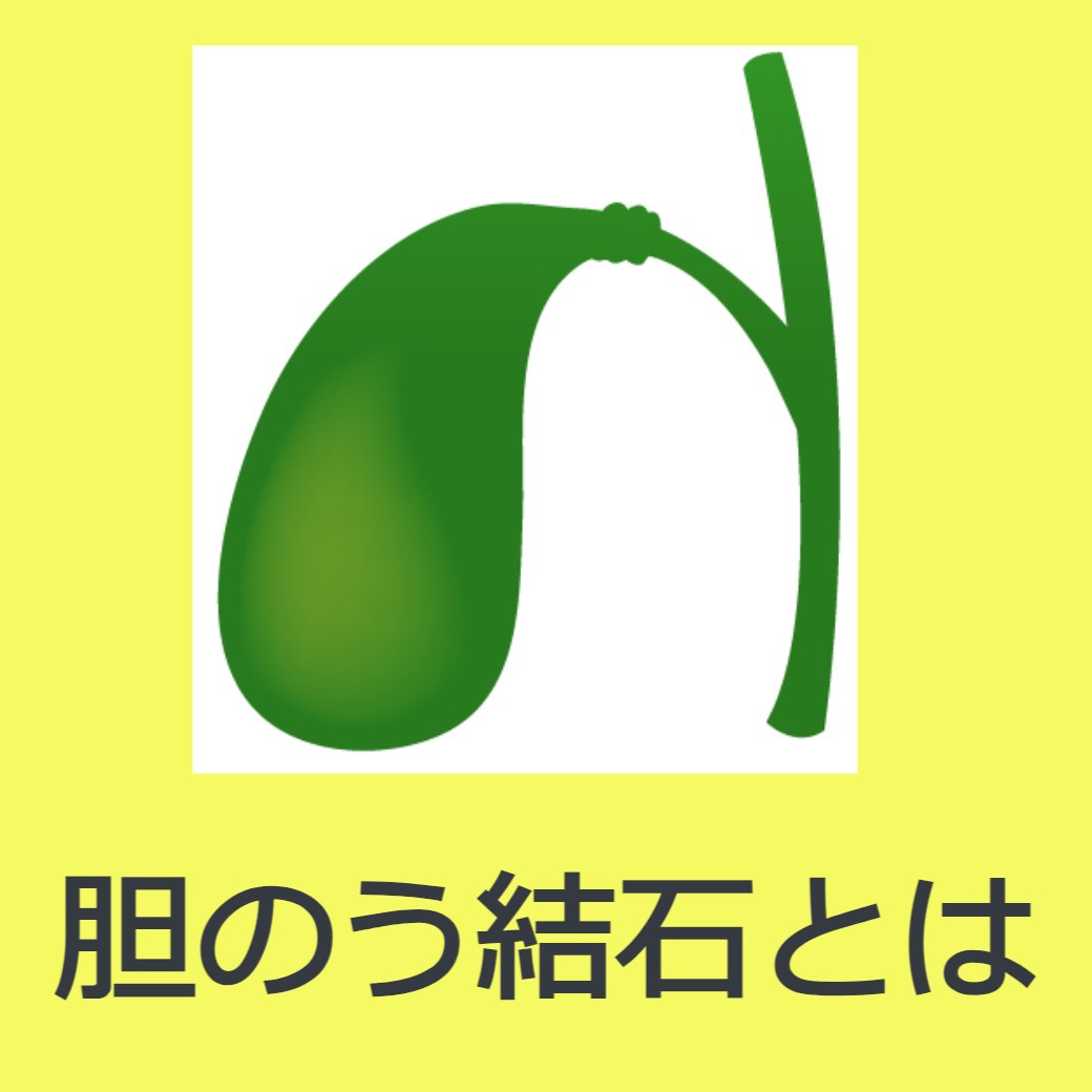胆のう結石とは